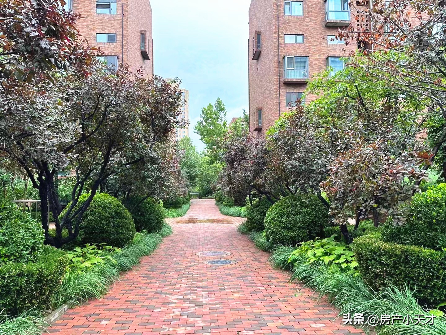 北京.望京十大富人小区