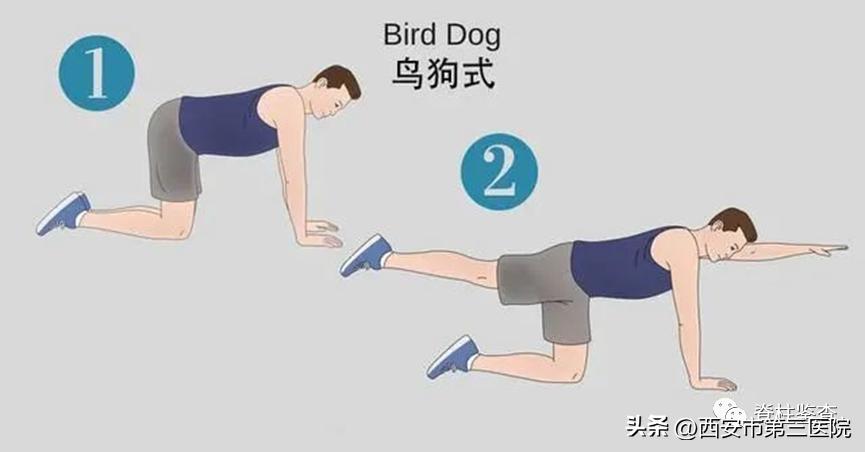 五分钟带你看懂腰椎间盘突出,腰椎间盘全面讲解及调理方法