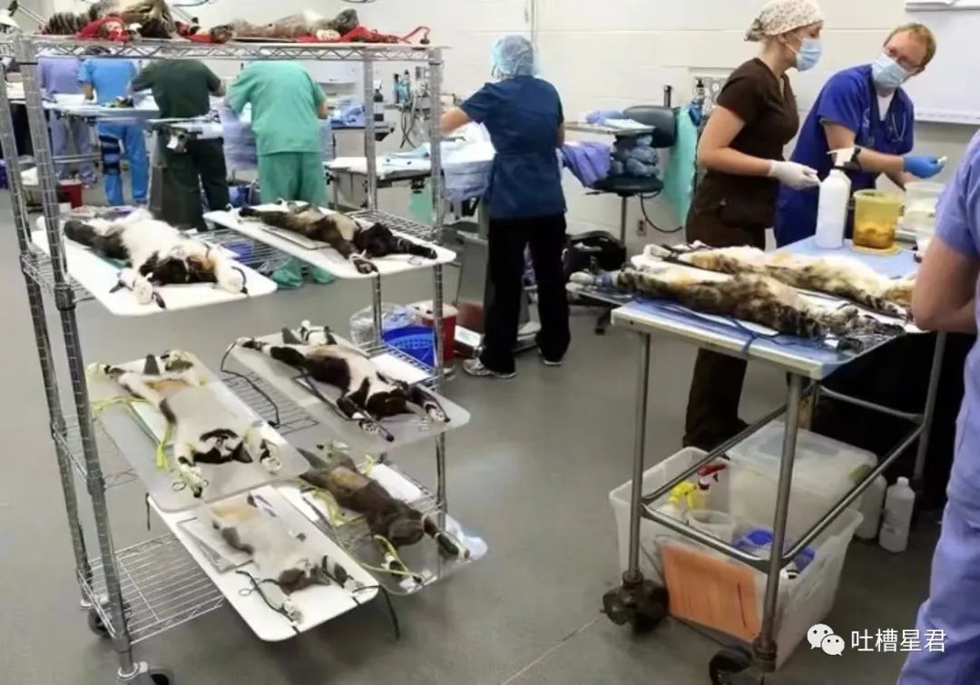 上海学生一身衣服价值127万,上海一学生穿100万衣服真的假的