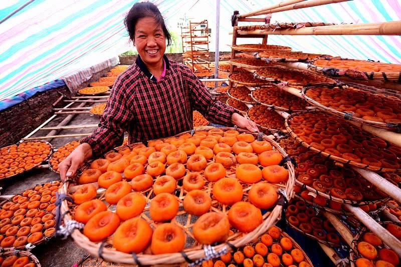 空腹吃柿子为什么会结石,空腹食用柿子当心结石作怪