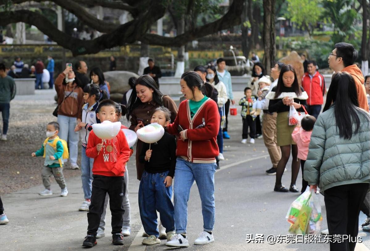 东莞人民公园真美,东莞人民公园故地重游