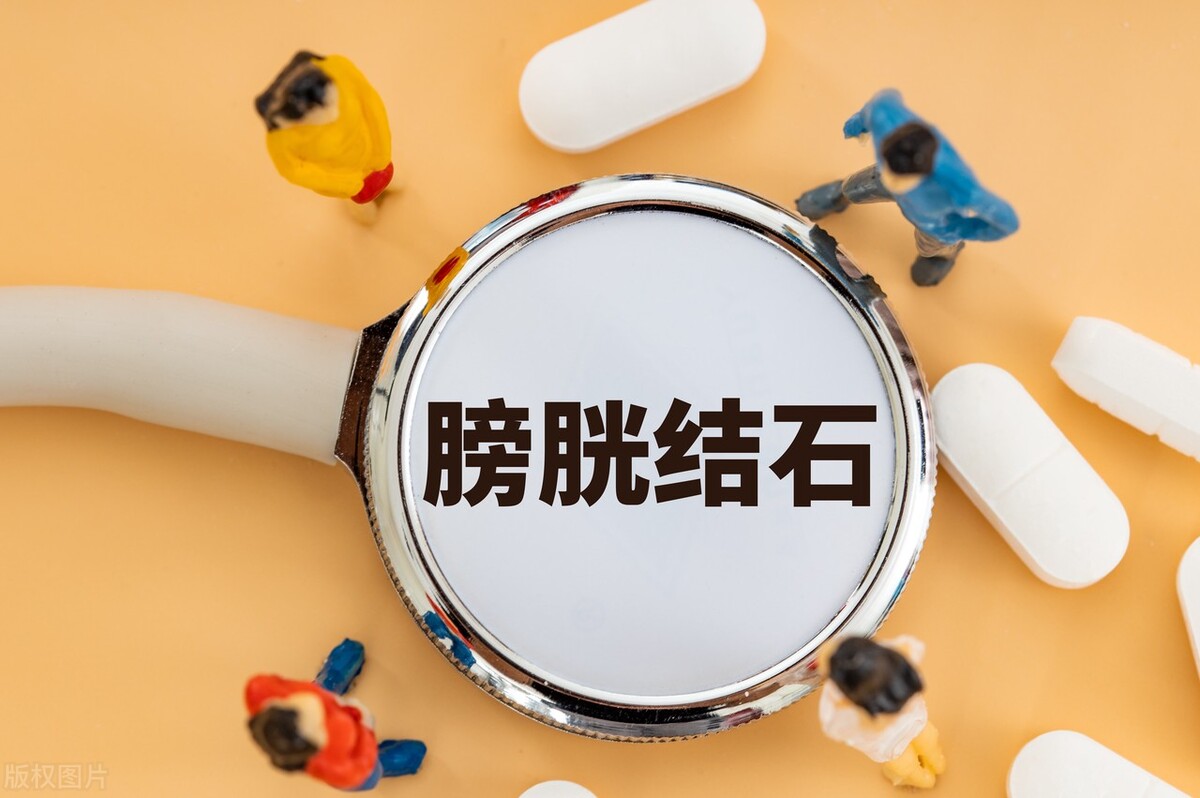 膀胱结石的治疗方法,猫咪膀胱结石治疗费用