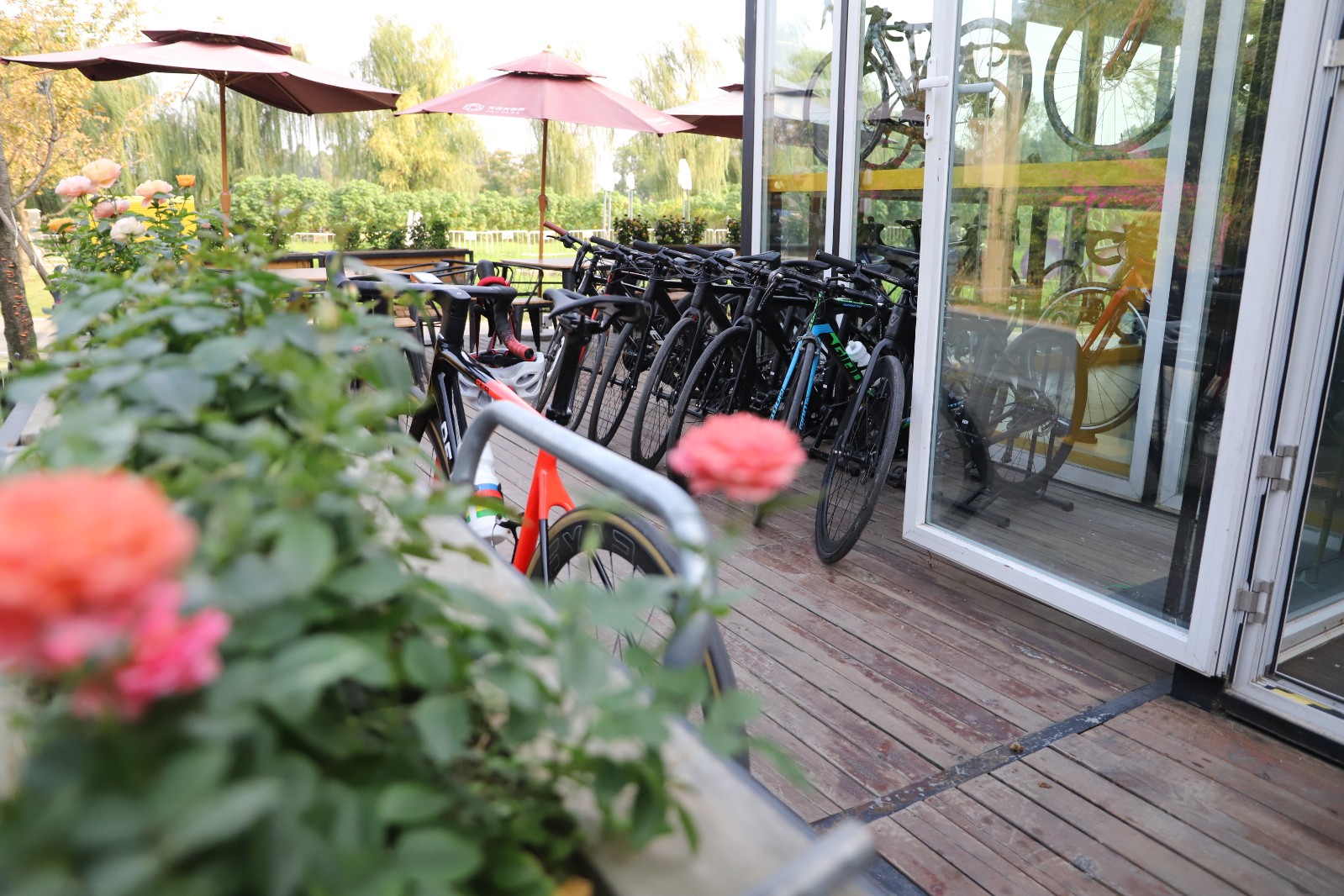 瑞豹自行车概念店,瑞豹成都自行车店