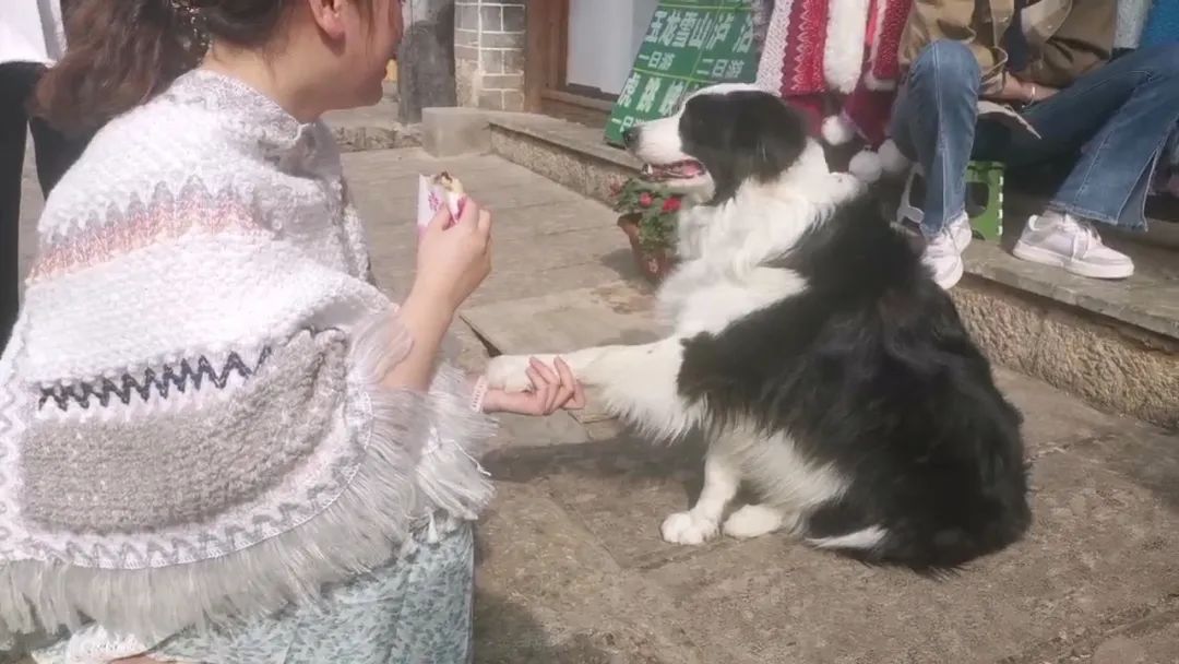 五一假期大理游,五一来啦准备去哪里玩