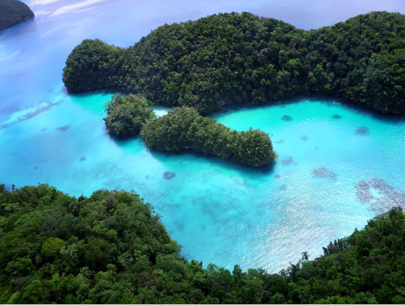 看到中国船经过，帕劳邀请美军加强巡护，网友表示：是我们去少了