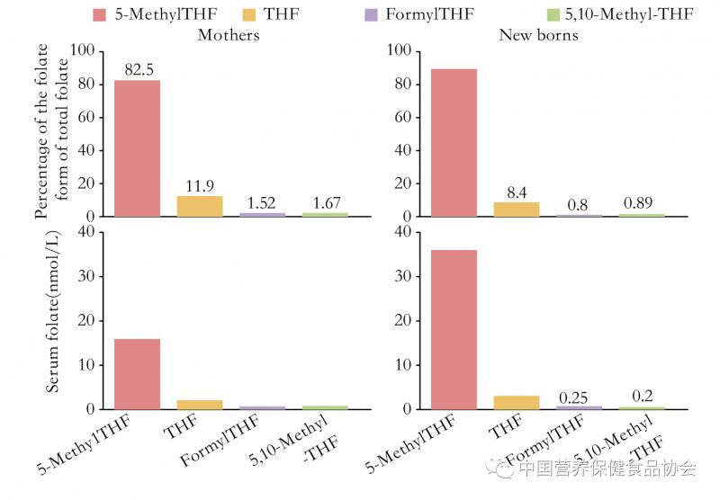 叶酸的知识你了解吗,叶酸应该如何选择