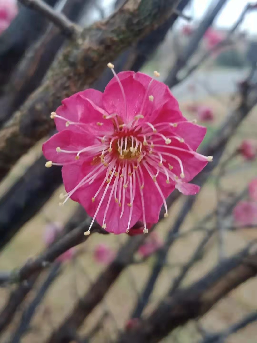 电脑启动有一个小棍在转,电脑开机有个小杠