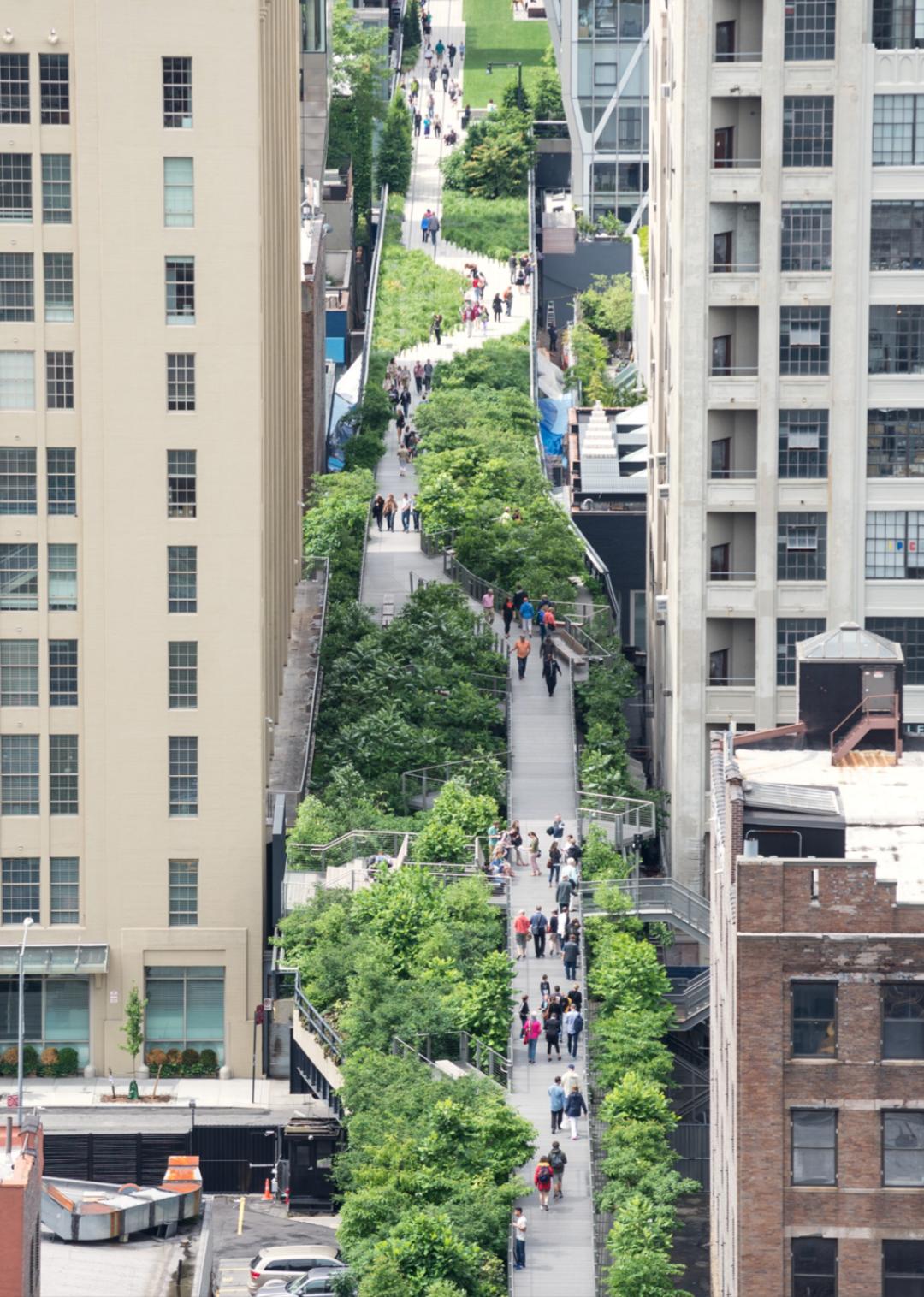 评价高颜值的神评论,高颜值高评价