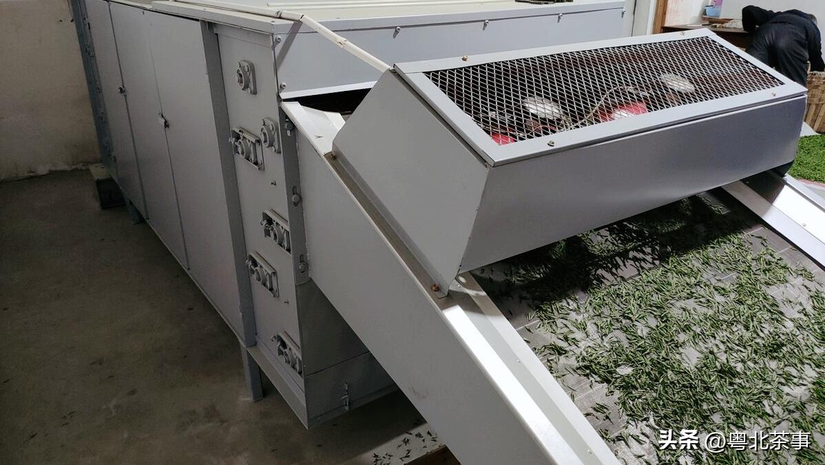 观音茶手工制茶和机器制茶的区别,手工制茶和人工制茶的区别是什么