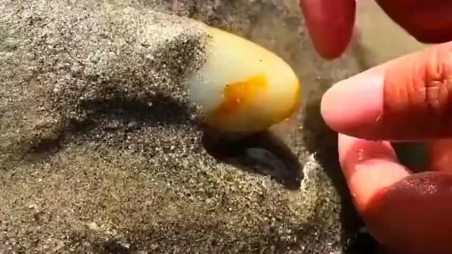 直播间买珠宝的坑,直播间卖和田玉的猫腻