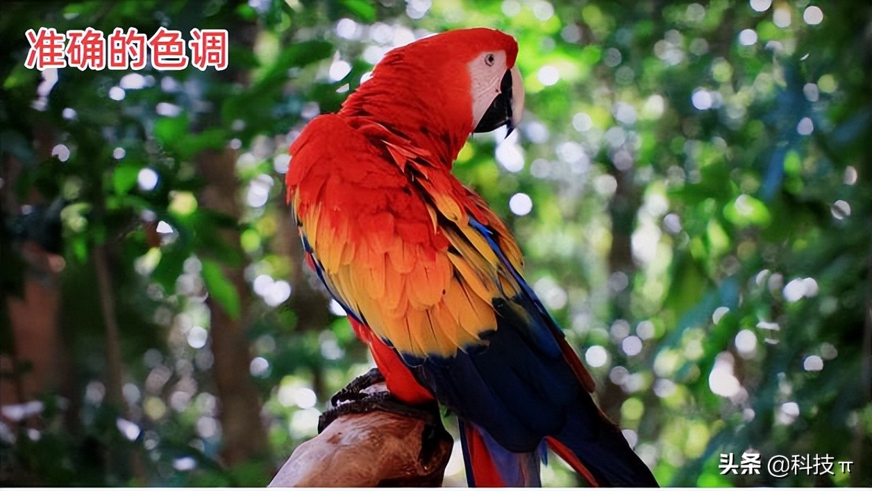 电视怎样调最佳图像,电视怎么调整显示比例