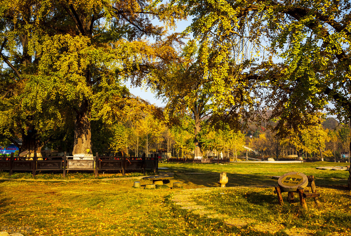 随州是网红城市吗,随州有气质的网红