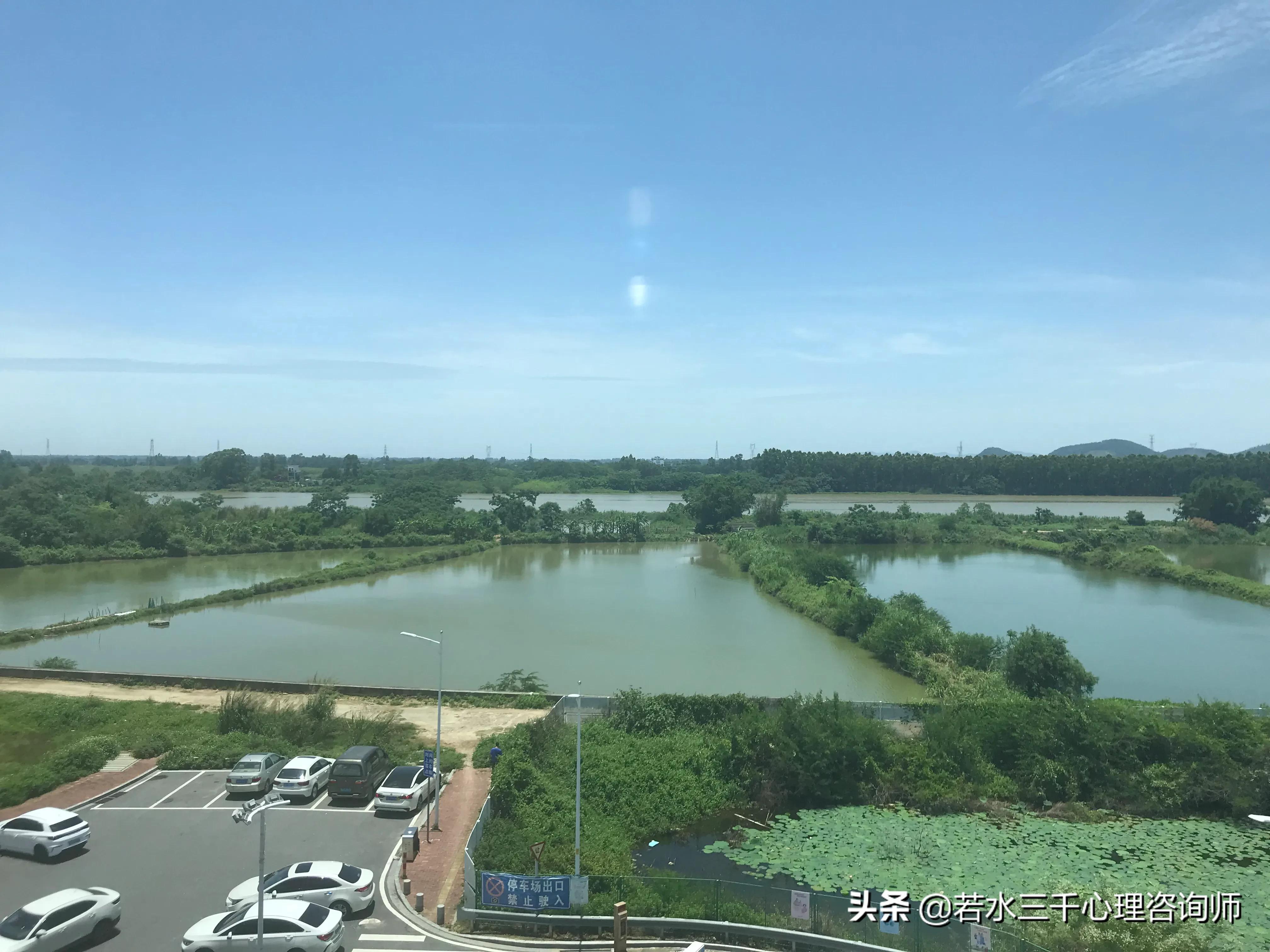 心理观察室：接线员迷式操作，20岁女生的生命之殇谁来担责