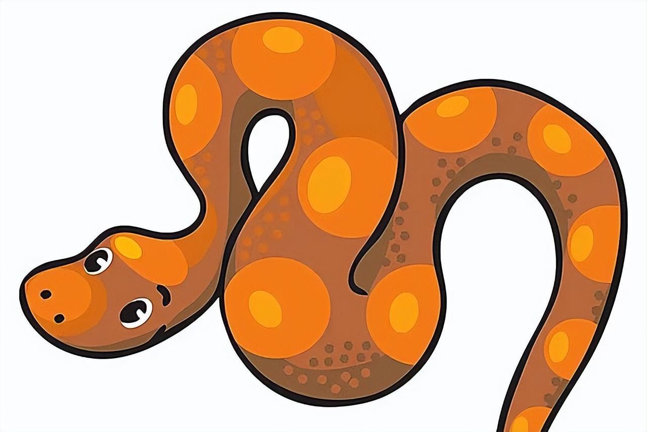 海南巨蟒为报恩甘愿当保姆,两名男子救下巨蟒