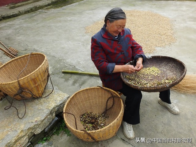 80岁以上老人领多少养老金农村,目前农村80岁老人领多少养老金