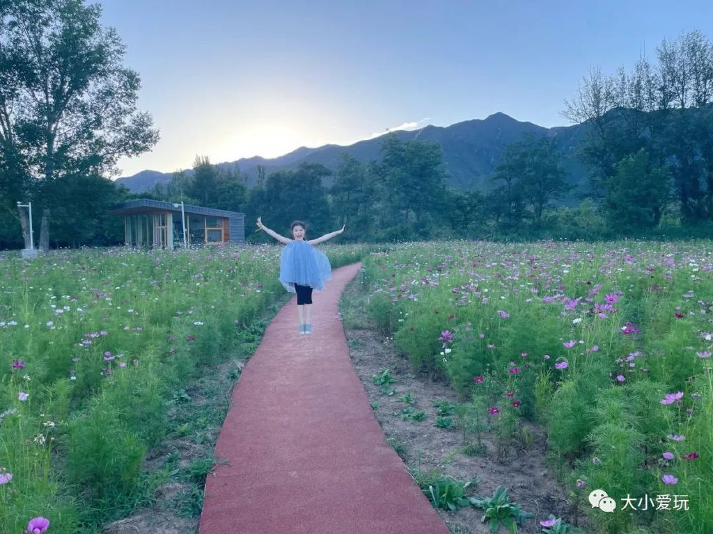 打卡北京这个超级亲子度假村！见识了遛娃界天花板，奉上超全攻略