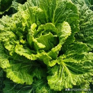 分享几个查信息的渠道