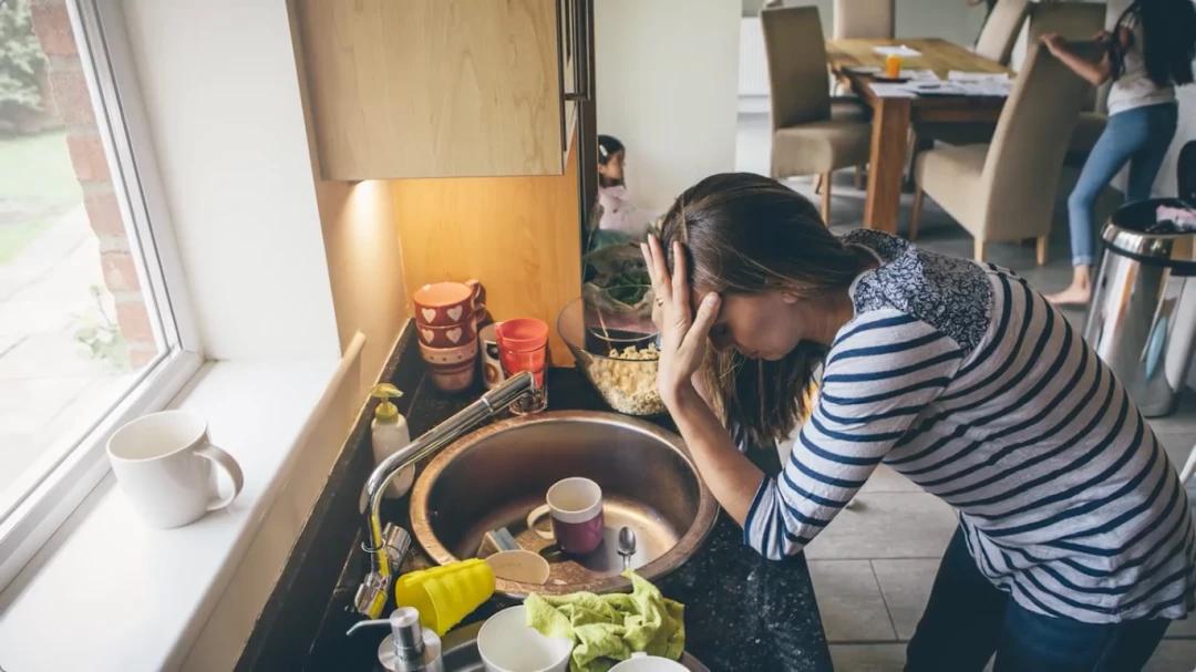 初学统计最掌握哪些东西,统计学知识视频教程全集