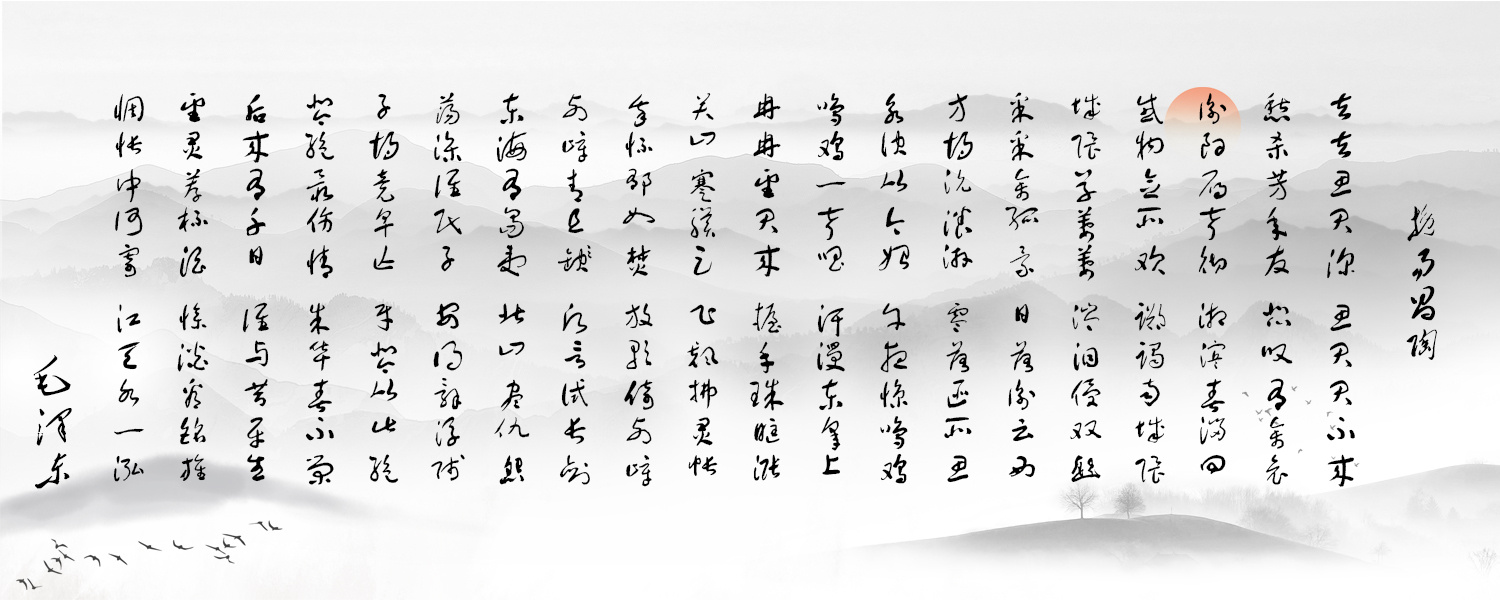 专题：毛*东泽**诗词赏析「十一」