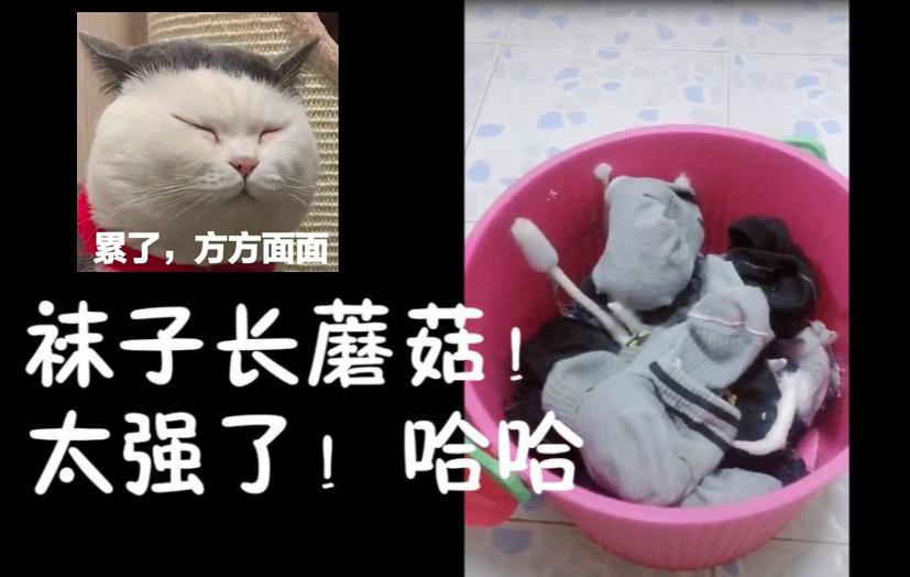 女大学生垃圾桶里捡“姨妈巾”，在床上小便，宿管阿姨被熏出眼泪