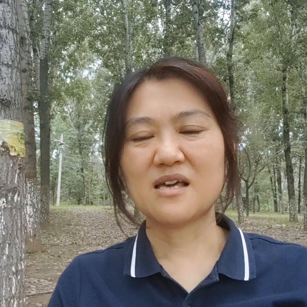 桑叶养生,桑叶养生果冻