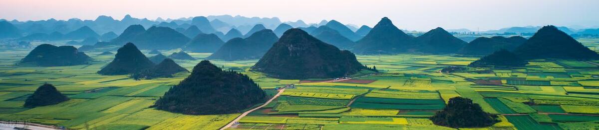 云南高考志愿填报规则,云南高考志愿填报指南资料