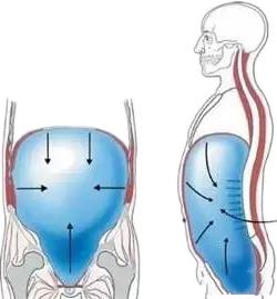 逆腹式呼吸命门,逆腹式呼吸的意念导引