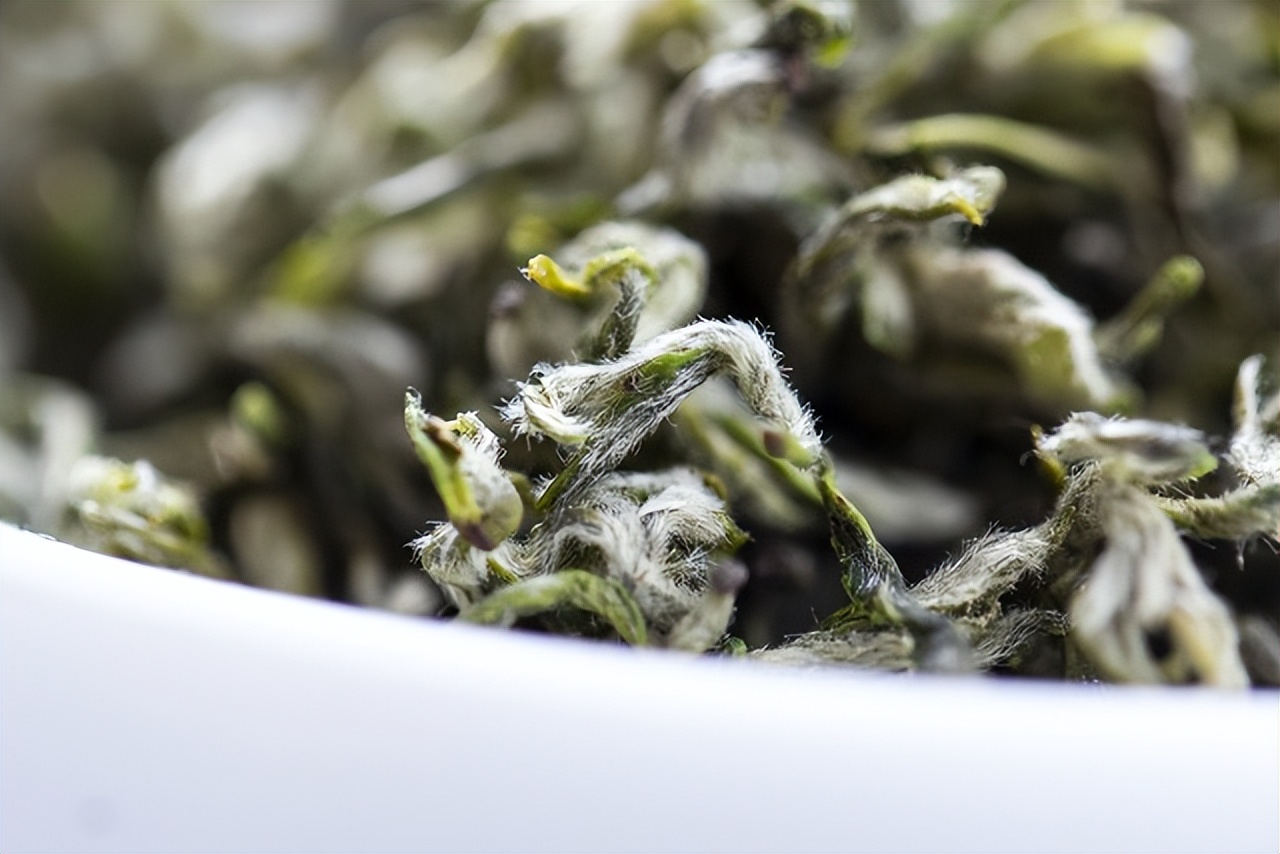 四川茶vs安徽茶,四川正宗天府龙芽茶