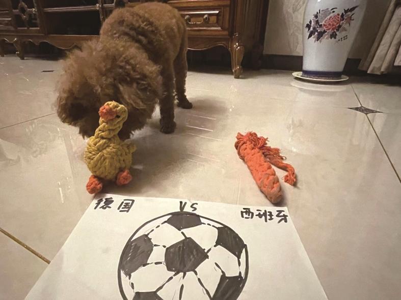 世界杯最新一场竞猜,世界杯花式竞猜哪里买