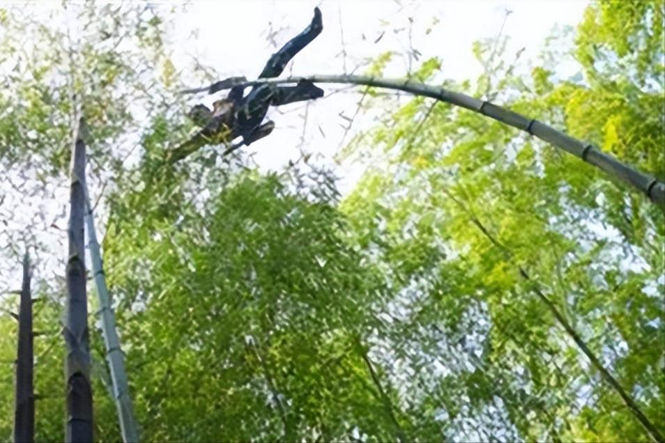 安澜从沉睡中苏醒,安澜无法挣脱的命运