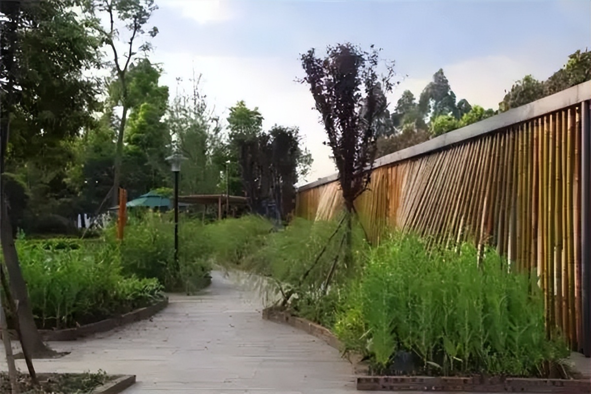 乡村改造方法盘点,100个乡村改造名单