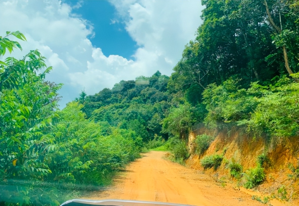 我的大柴切，居家旅行都能胜任
