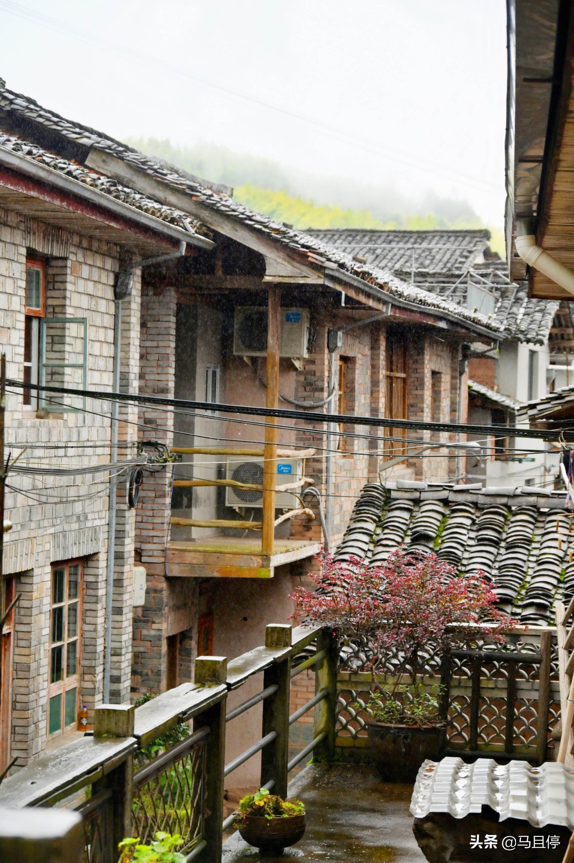 浙江丽水遂昌四天三夜,三天两夜浙江丽水旅游攻略