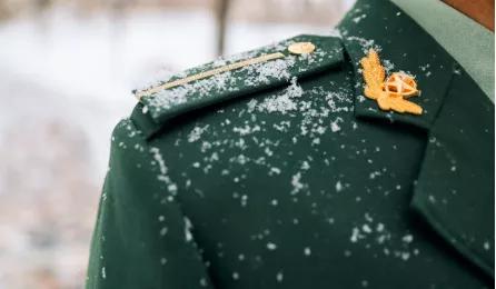 部队里打雪仗,部队打雪仗站岗