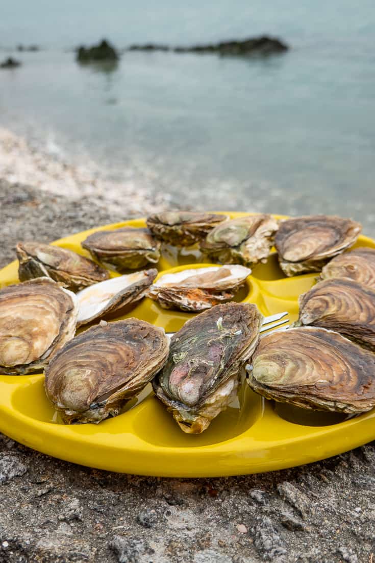 生蚝之都康卡勒：凯撒大帝太阳王拿破仑三世青睐，美味流传两千年