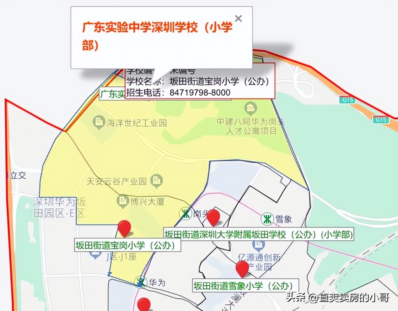 南山区小学学区划分图,南山各小学积分