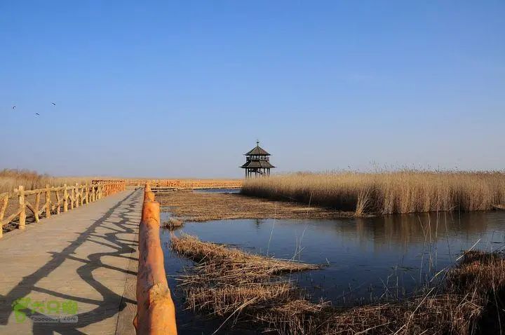 坐火车畅游东营,坐火车去东营一日游