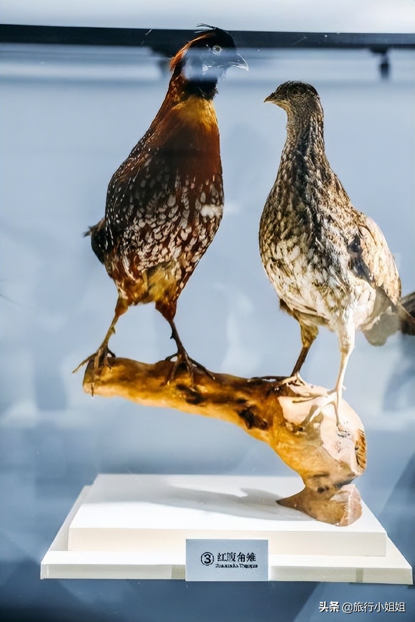 夏日海边微醺氛围感,滨城风光秀丽浪漫气息爆表