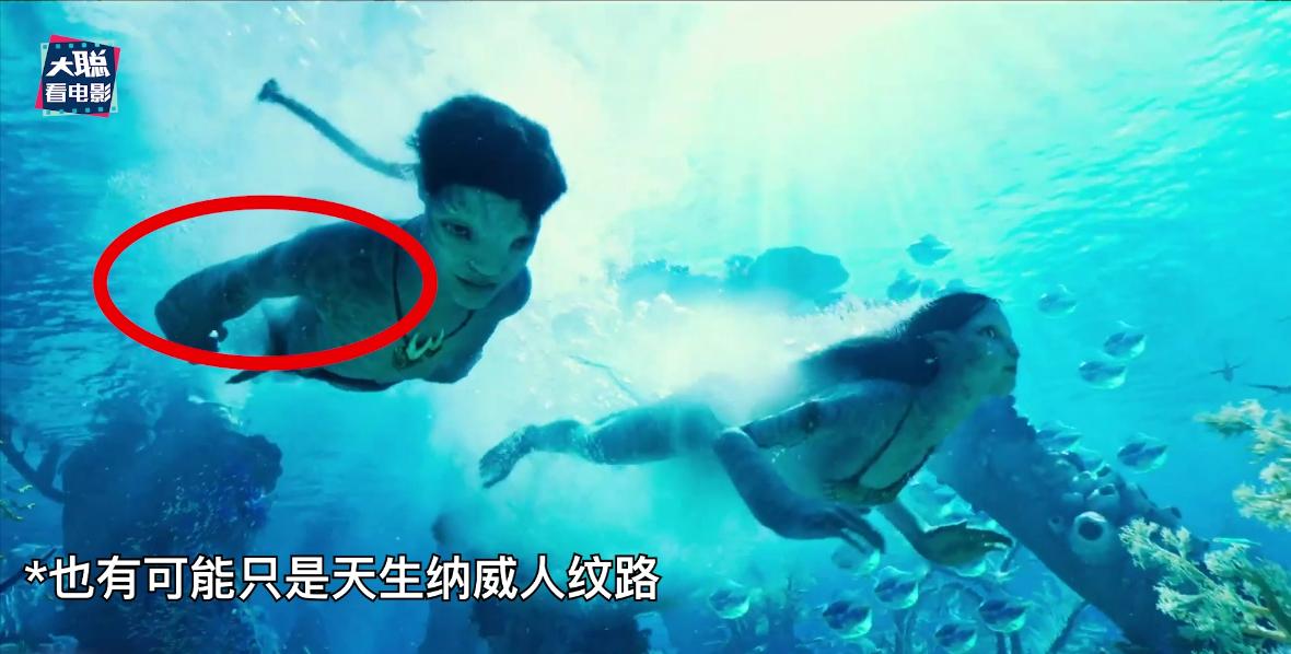 阿凡达2曝光全新中文海报及预告,外网曝阿凡达2预告