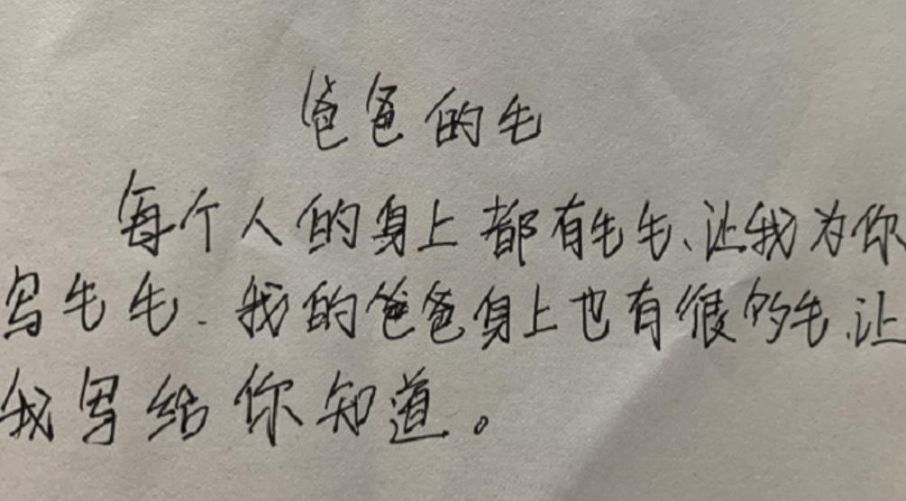 最近小学生作文爆红网络,小学生作文新发现200字