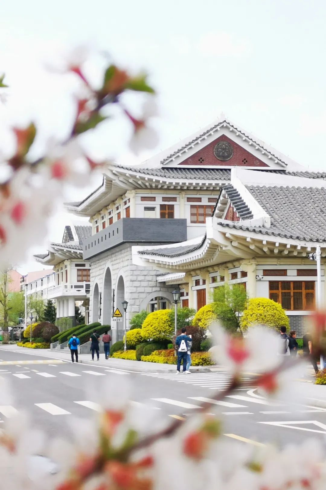 吉林延边为什么是朝鲜族,延边韩流