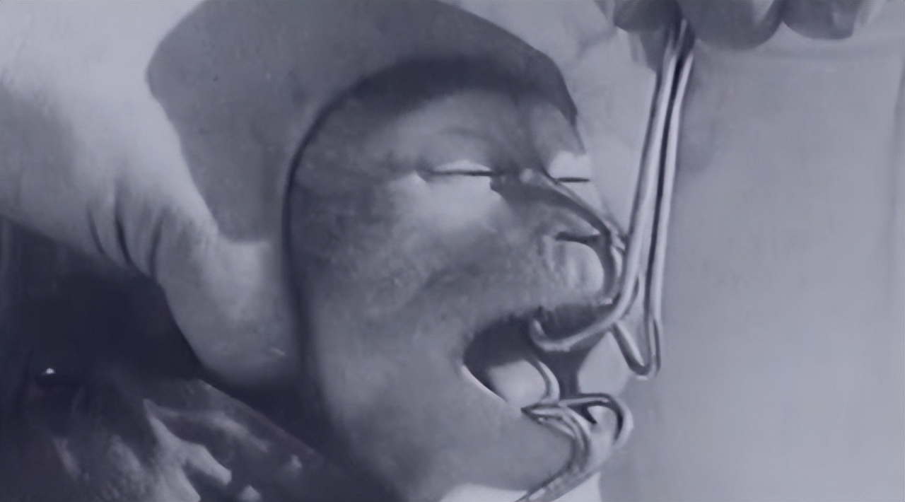 人类真的能杂交吗,人类动物能混血吗