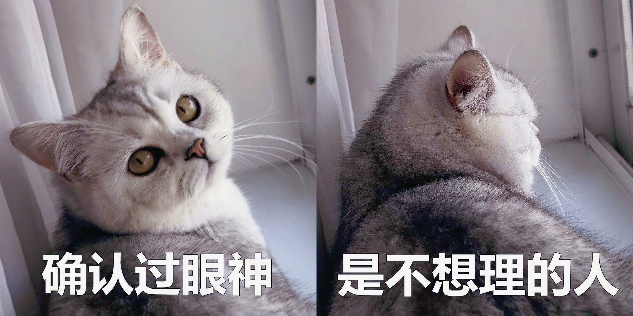 2010到2019十大流行语,回忆杀盘点