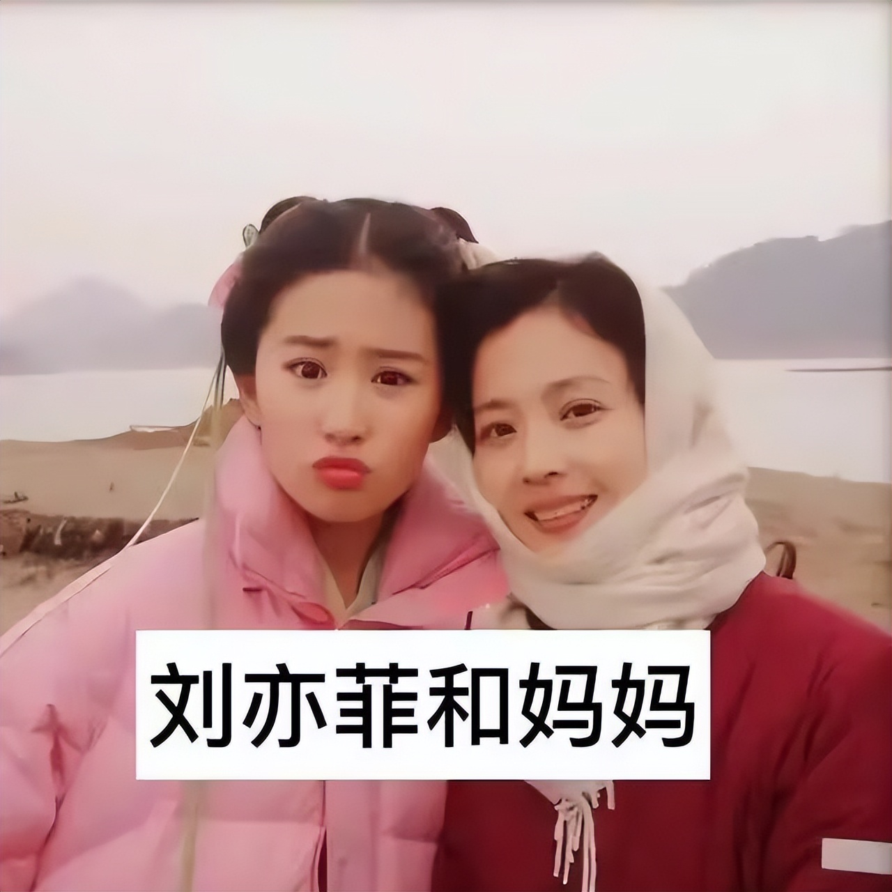 盘点明星的妈妈最美,那些高颜值女明星的妈妈