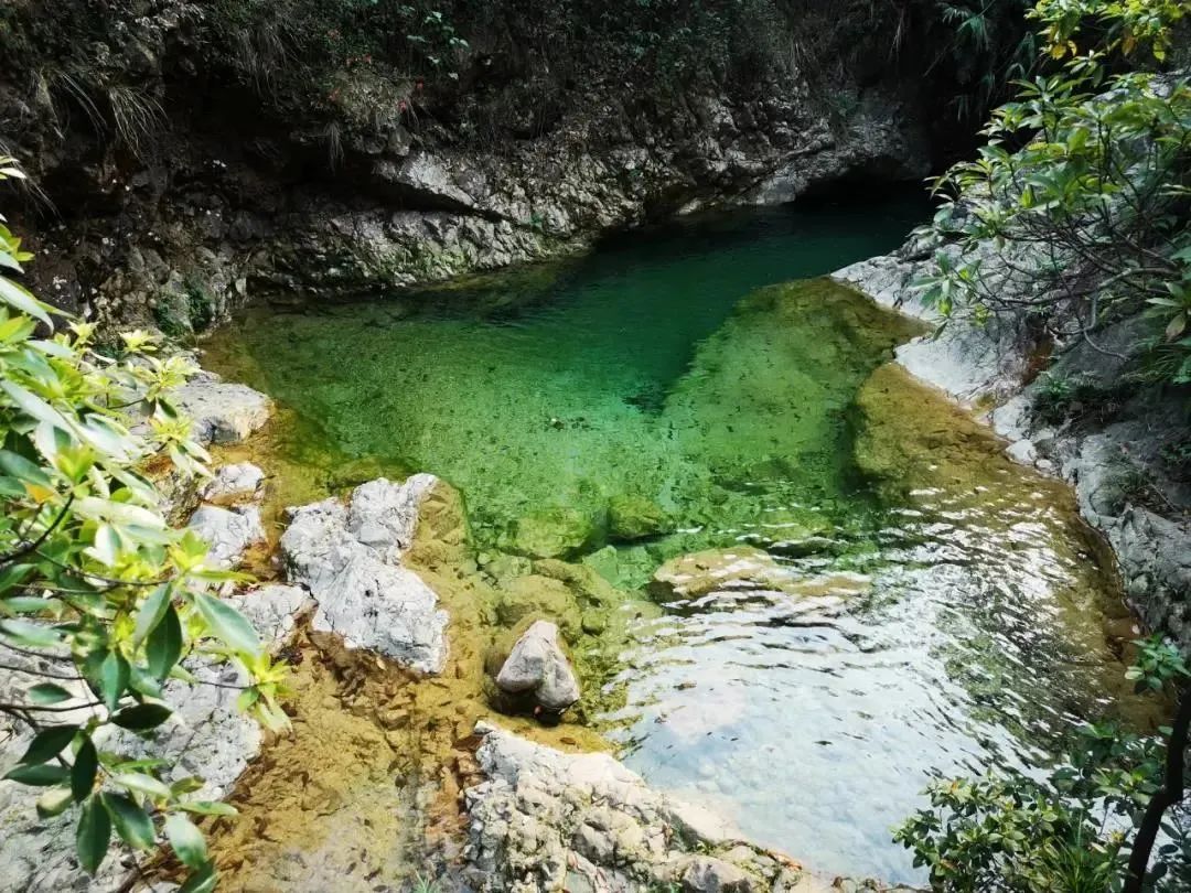 鹤山古劳水乡自由行,鹤山自由行攻略
