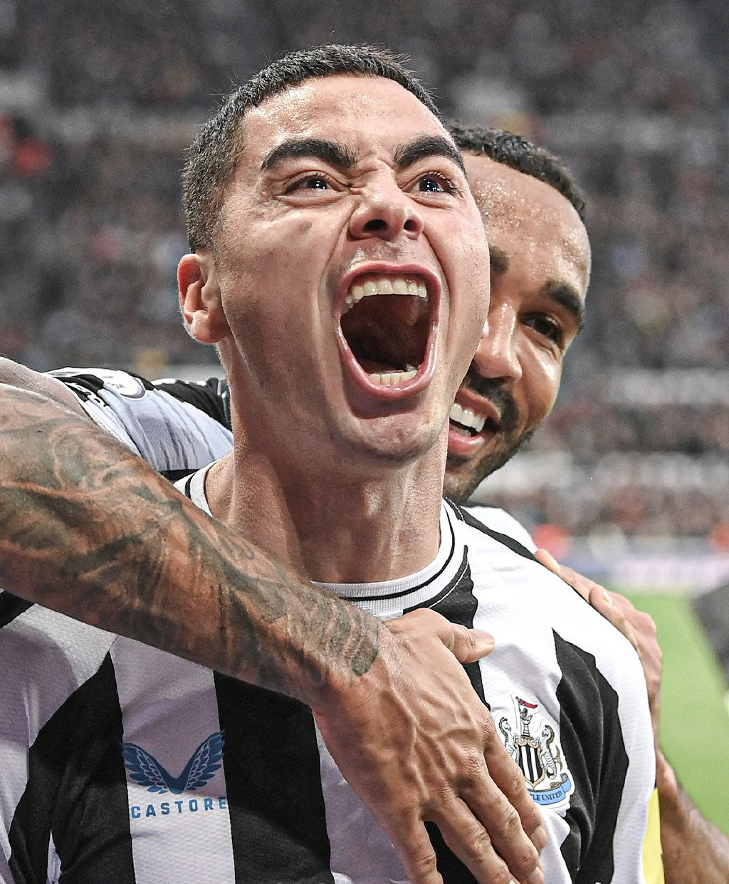 圣詹姆斯公园的右翼天使，用“桔光”照亮着喜鹊前进的方向