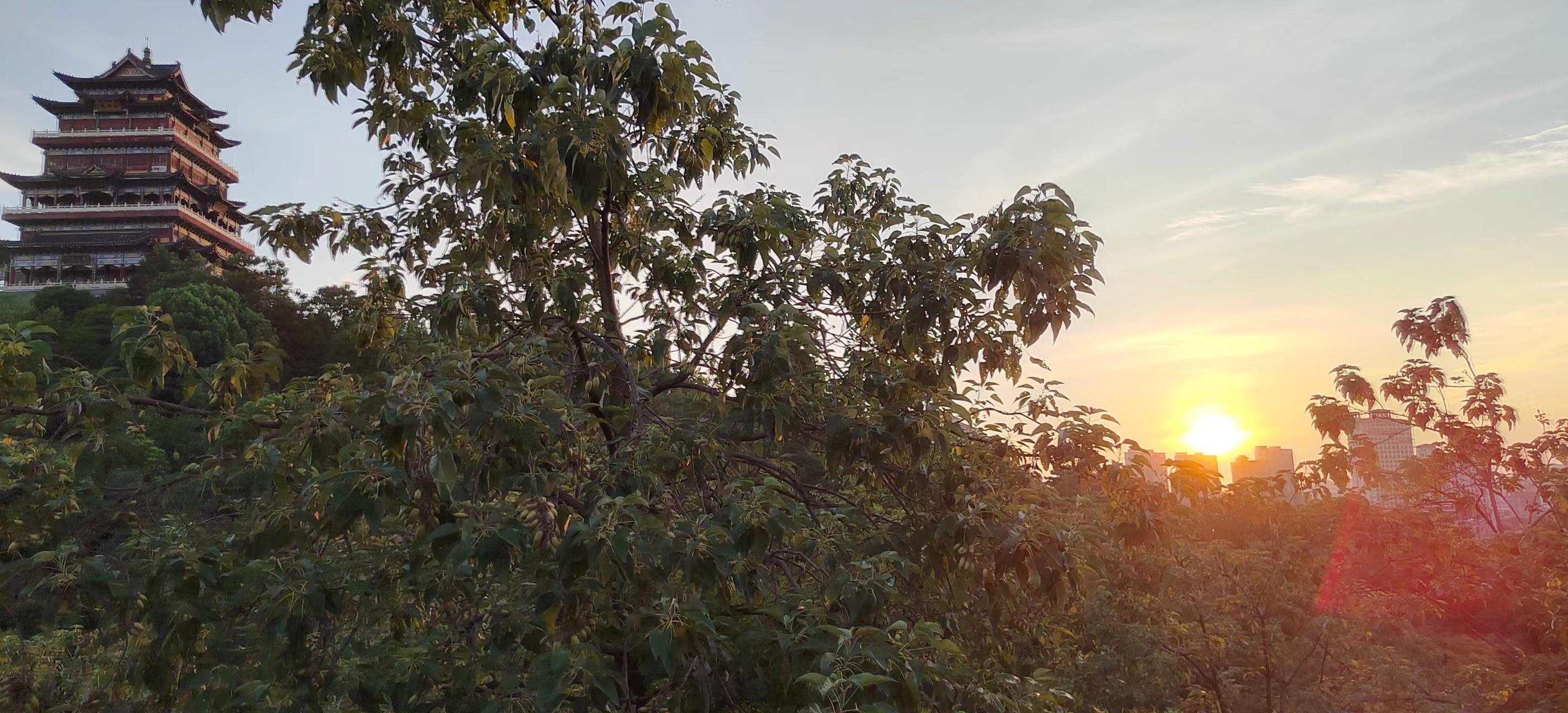 主持人开场白台词元旦晚会,主持人开场白台词大全古诗