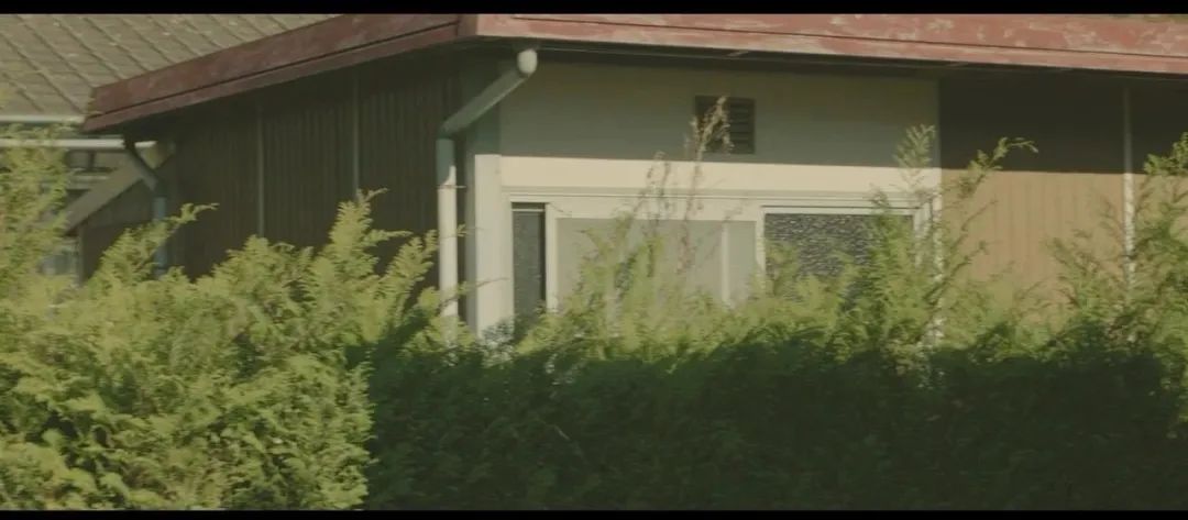 食之三部曲ￜ身心灵的救赎，情不自禁的美味人生