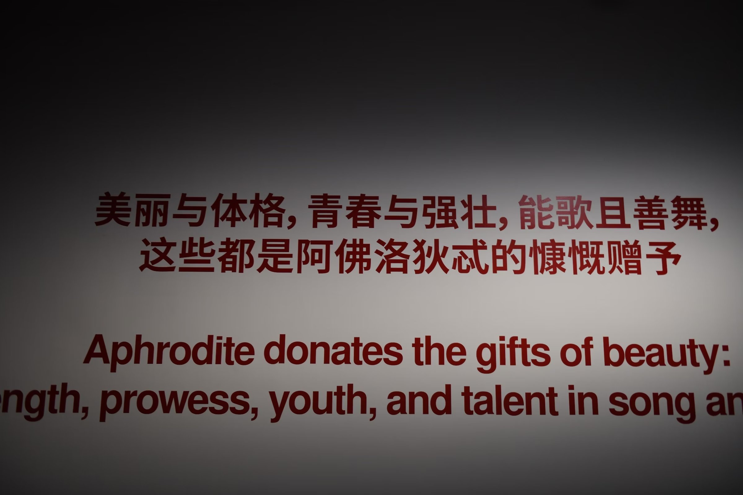 研学上海旅游攻略,上海研学旅行攻略