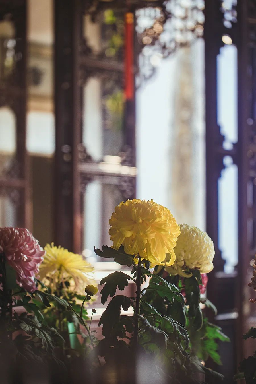 中国人对时间的雅称,中国人对时间的解读